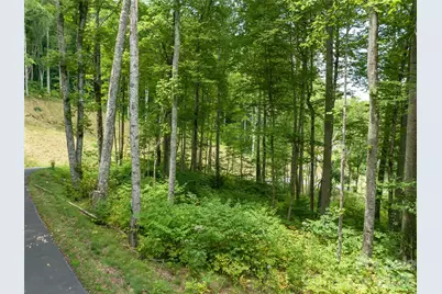 1394 Daydream Ridge, Swannanoa, NC 28778 - Photo 9