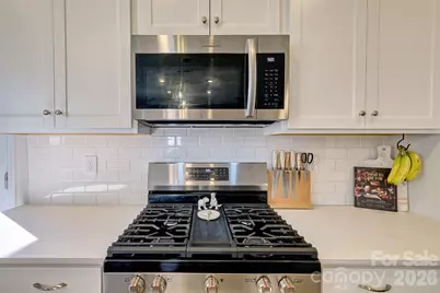 1737 Otter Perch Lane, Fort Mill, SC 29715 - Photo 9