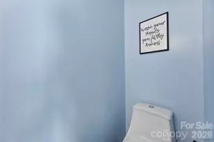 1522 Coatsworth Ln, Rock Hill, SC 29732 - Photo 19