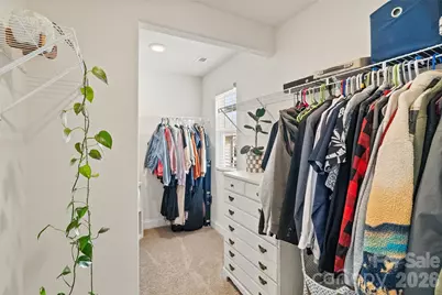 313 Praline Way, Fort Mill, SC 29715 - Photo 23