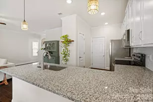 313 Praline Wy, Fort Mill, SC 29715 - Photo 13