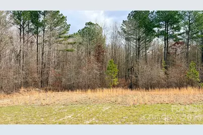 505 Shag Road, Chesterfield, SC 29709 - Photo 3