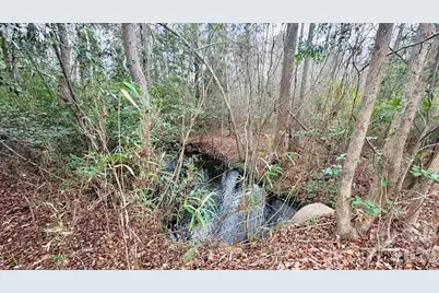 505 Shag Road, Chesterfield, SC 29709 - Photo 21