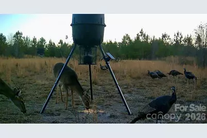 505 Shag Road, Chesterfield, SC 29709 - Photo 31