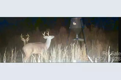 505 Shag Road, Chesterfield, SC 29709 - Photo 27