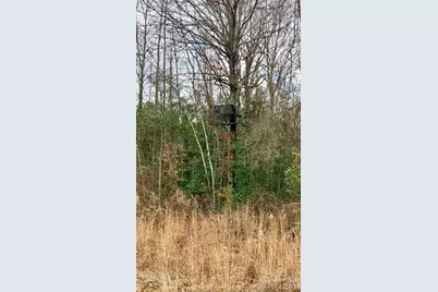 505 Shag Road, Chesterfield, SC 29709 - Photo 29