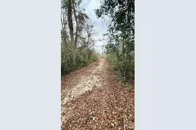 505 Shag Road, Chesterfield, SC 29709 - Photo 25