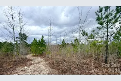 505 Shag Road, Chesterfield, SC 29709 - Photo 23