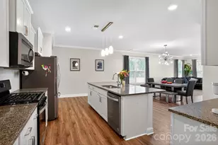 4211 Plumeria Way, Fort Mill, SC 29707 - Photo 3