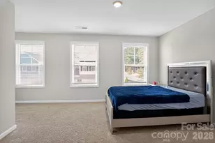 4211 Plumeria Way, Fort Mill, SC 29707 - Photo 19