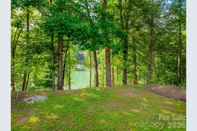 357 Lentz Landing Lane, Nebo, NC 28761 - Photo 11