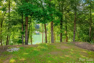 357 Lentz Landing Ln, Nebo, NC 28761 - Photo 11