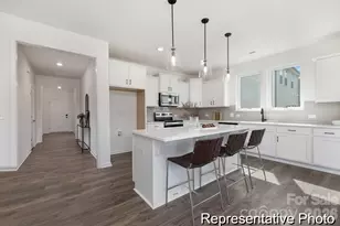 310 Jubilee Wy, Pageland, SC 29728 - Photo 3