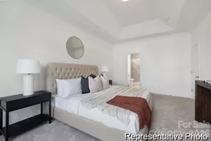 310 Jubilee Wy, Pageland, SC 29728 - Photo 15