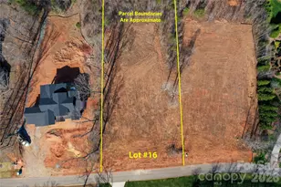 Lot 16 Ridgeview Ln, Iron Station, NC 28080 - Photo 11