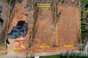 7055 Ridgeview Ln, Iron Station, NC 28080 - Photo 13