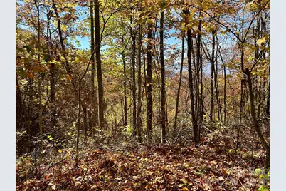 0 Owle View #30, Bryson City, NC 28713 - Photo 1