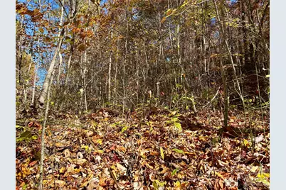 0 Owle View #30, Bryson City, NC 28713 - Photo 3