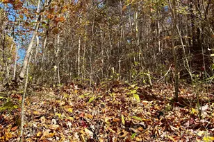 0 Owle View, Bryson City, NC 28713 - Photo 3