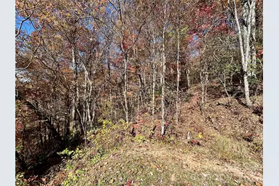 0 Grizzly Ridge #57, Bryson City, NC 28713 - Photo 3