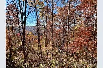 0 Grizzly Ridge #57, Bryson City, NC 28713 - Photo 1