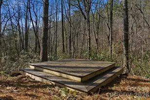 3201 Donahue Drive, Nebo, NC 28761 - Photo 9