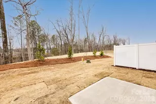 147 Landy St, Fort Mill, SC 29715 - Photo 33