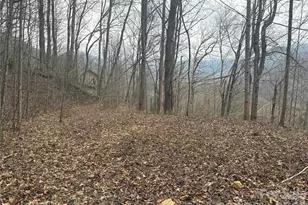 00 Country Club Dr, Whittier, NC 28789 - Photo 11