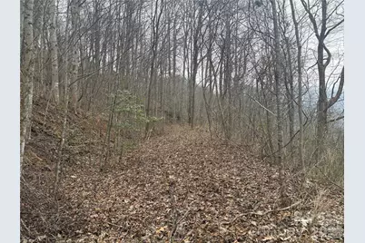 00 Country Club Drive #11, Whittier, NC 28789 - Photo 3