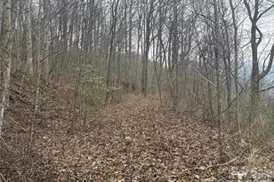 00 Country Club Dr, Whittier, NC 28789 - Photo 3