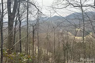 00 Country Club Dr, Whittier, NC 28789 - Photo 15