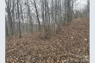 00 Country Club Drive #11, Whittier, NC 28789 - Photo 13