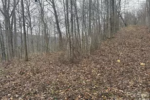 00 Country Club Dr, Whittier, NC 28789 - Photo 13