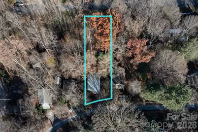 59 Morningside Drive, Asheville, NC 28806 - Photo 23