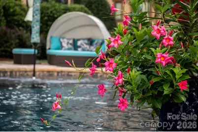 7915 Skye Lochs Drive, Waxhaw, NC 28173 - Photo 47