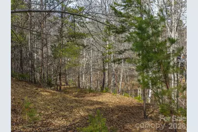 Lots 22 & 23 Lake Adger Parkway, Mill Spring, NC 28756 - Photo 5