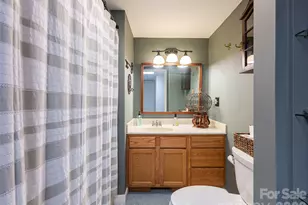 29 Longue Vue Ln, Canton, NC 28716 - Photo 27