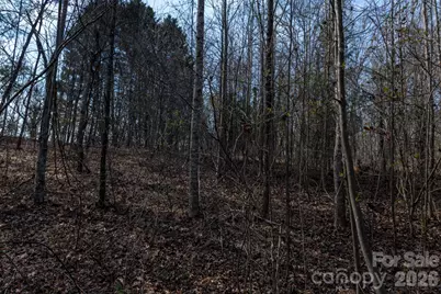 3100 Icenhour Place, Lenoir, NC 28645 - Photo 47