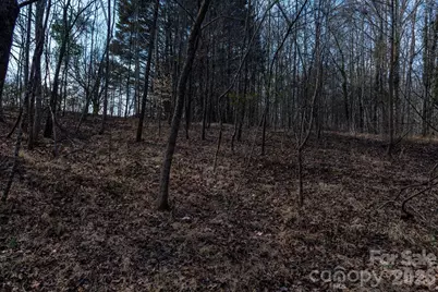 3100 Icenhour Place, Lenoir, NC 28645 - Photo 45