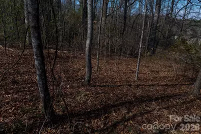 3100 Icenhour Place, Lenoir, NC 28645 - Photo 35