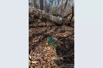 3100 Icenhour Place, Lenoir, NC 28645 - Photo 37