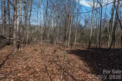 3100 Icenhour Place, Lenoir, NC 28645 - Photo 39