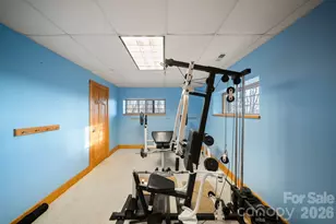 219 Woodlyn Etch Dr, Hendersonville, NC 28792 - Photo 33