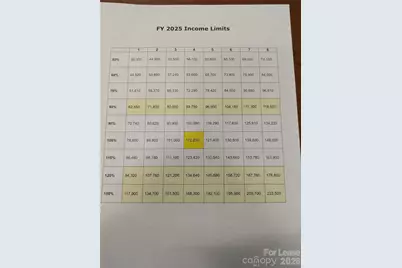 234 Harbour Place Drive, Davidson, NC 28036 - Photo 23