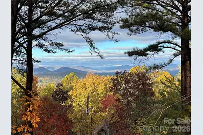 105 Avondale Heights Road, Asheville, NC 28803 - Photo 5