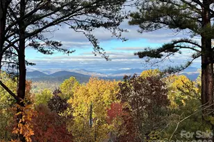 105 Avondale Heights Rd, Asheville, NC 28803 - Photo 5