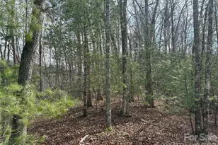 00 Round Hill Rd, Bryson City, NC 28713 - Photo 3