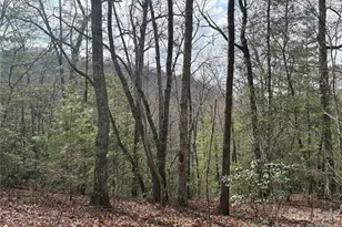 00 Round Hill Rd, Bryson City, NC 28713 - Photo 11