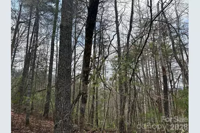 00 Round Hill Road #14, Bryson City, NC 28713 - Photo 7