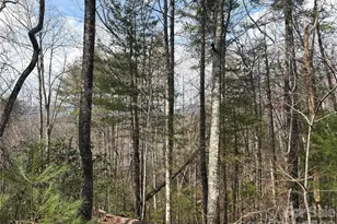 00 Round Hill Rd, Bryson City, NC 28713 - Photo 9